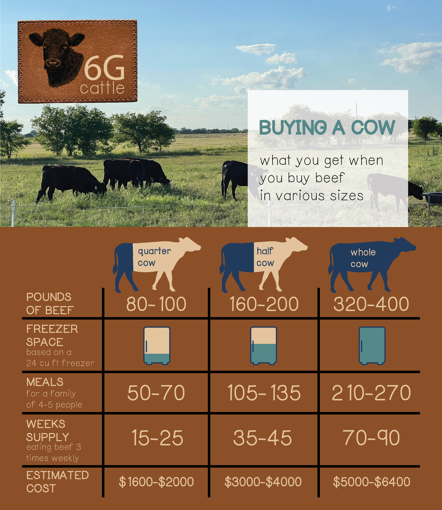 Quarter of Grass-Fed, Grain-Finished Black Angus Cow - Premium Quality Cuts